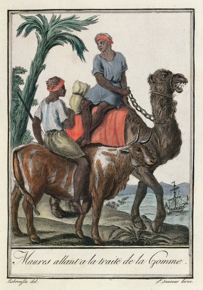 Moors Trafficking Gum (Mauritania or Senegambia), from 